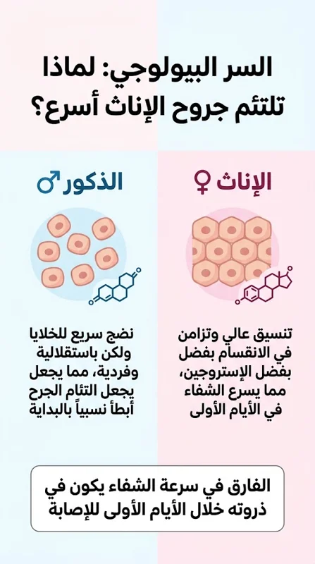 سر طبي أدهش العلماء: لماذا تلتئم جروح الإناث أسرع بكثير من الذكور؟